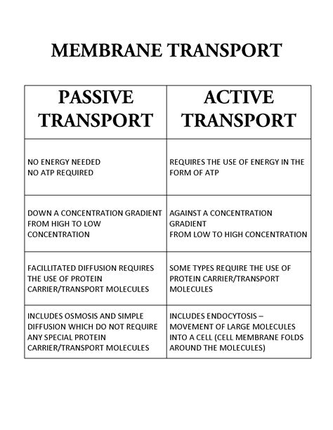30 Active and Passive Transport Worksheet | Education Template